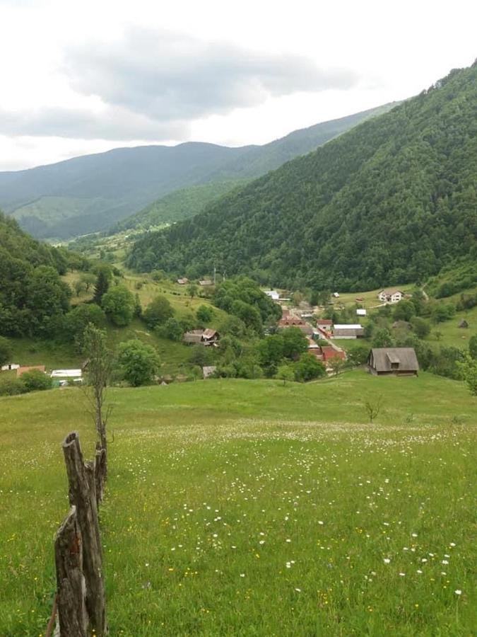 Pensiunea Valea Pinului Riuszád Kültér fotó
