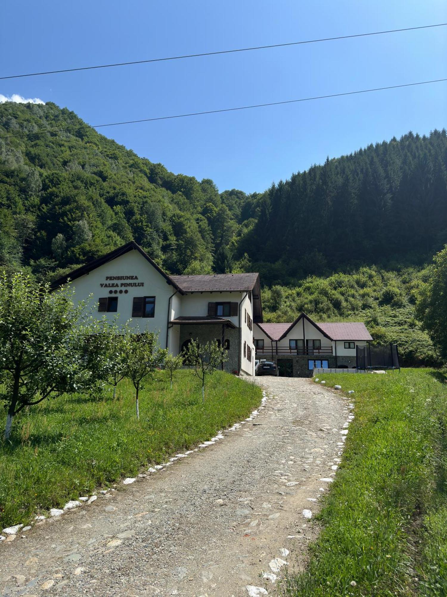 Pensiunea Valea Pinului Riuszád Kültér fotó